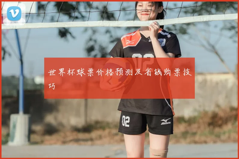 世界杯球票价格预测及省钱购票技巧